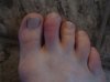 DSC02678.jpg