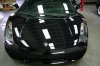 lambo 058.jpg