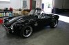 cobra 089.jpg