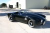 cobra 096.jpg