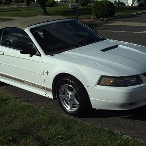 2002 Mustang trade in prep