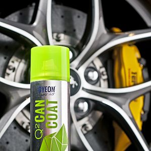 Gyeon CanCoat