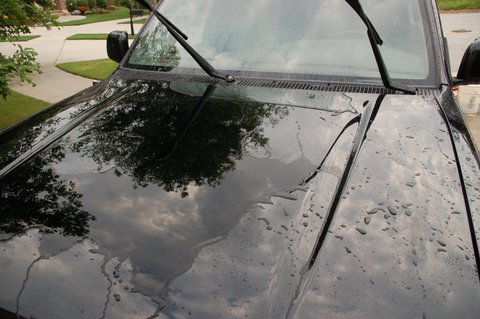 DSC 0009